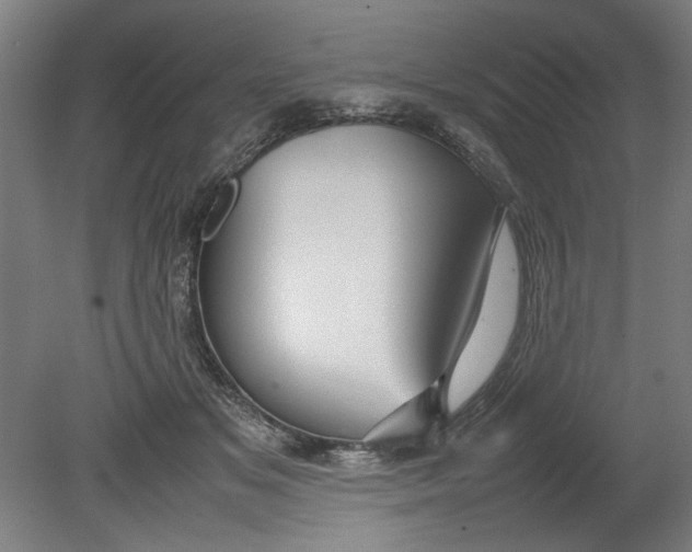 X0000080660509200701050946