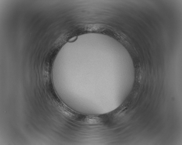 X0000080660510200701050946