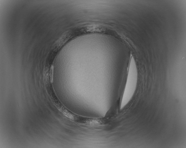 X0000080660513200701050946