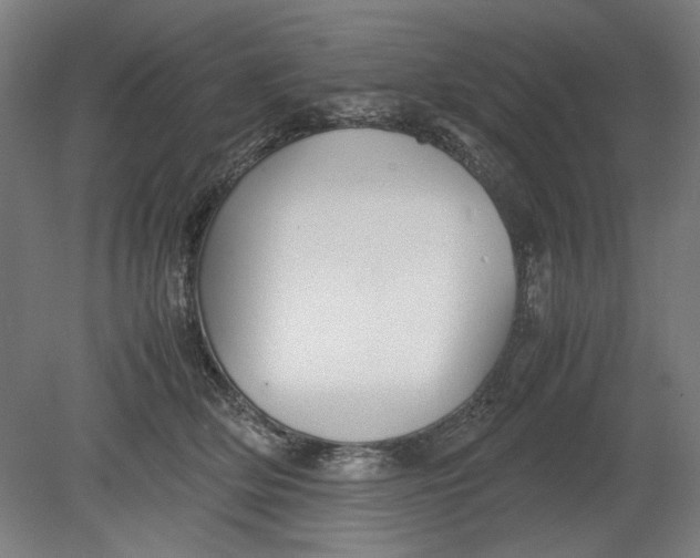 X0000080660514200701050946