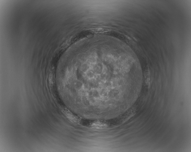 X0000080660515200701050946