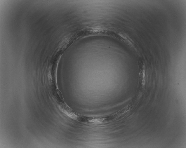 X0000080660516200701050946