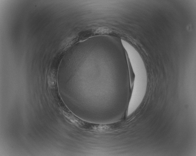 X0000080660517200701050946