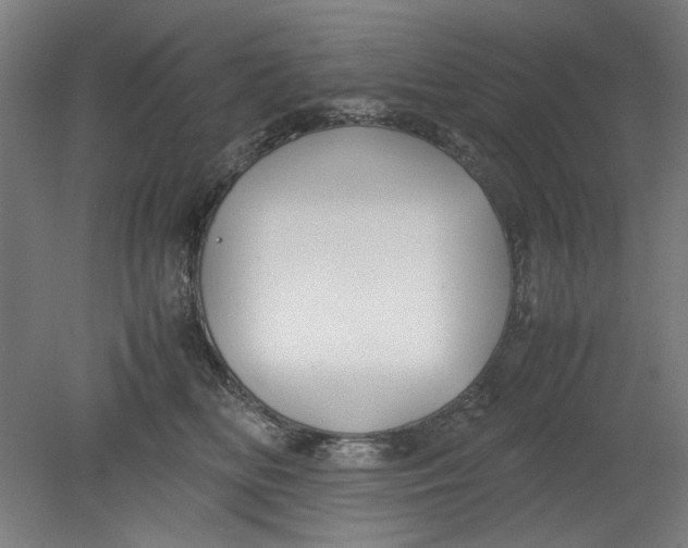 X0000080660518200701050946