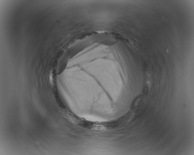 X0000080660519200701050946