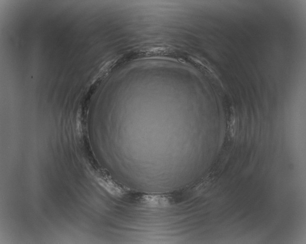 X0000080660520200701050946