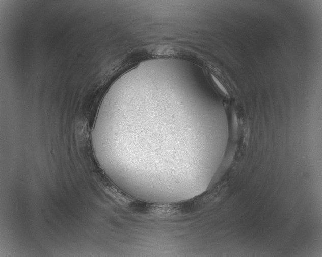 X0000080660521200701050946