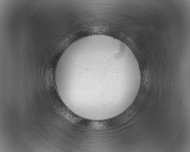 X0000080660522200701050946