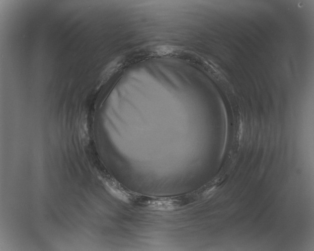 X0000080660524200701050946