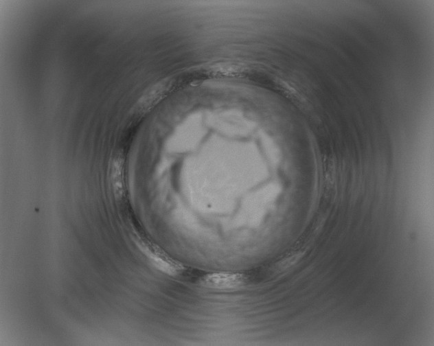 X0000080660526200701050946