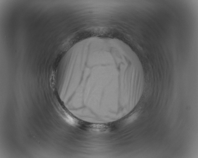 X0000080660528200701050946