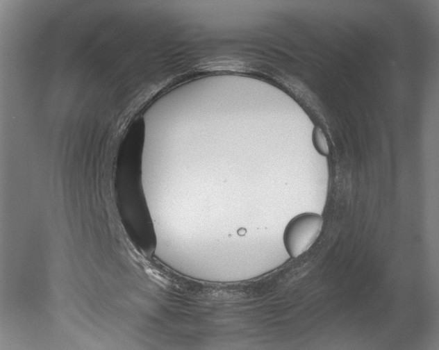 X0000080660529200701050945