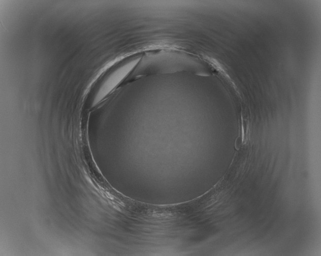 X0000080660531200701050945