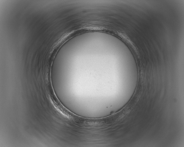 X0000080660533200701050945