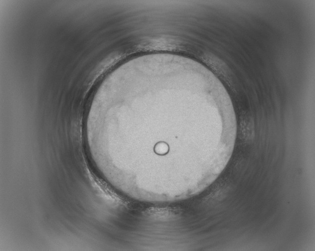 X0000080660534200701050945