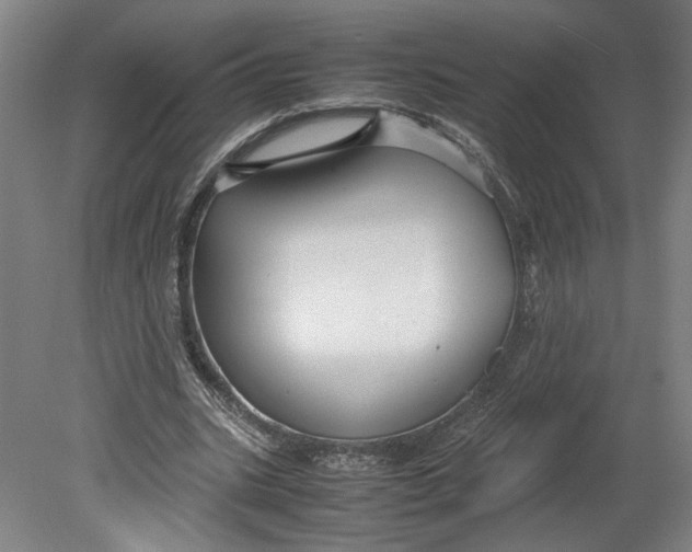 X0000080660535200701050945