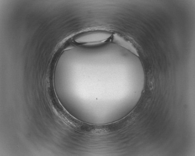 X0000080660536200701050945