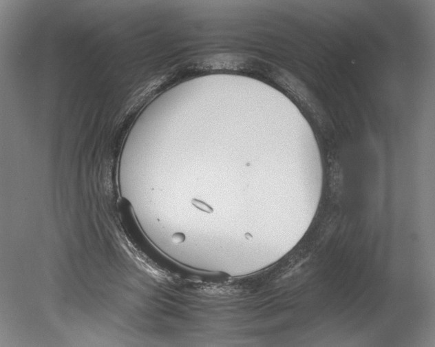 X0000080660537200701050945