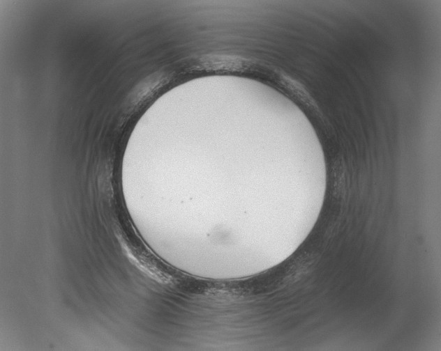 X0000080660538200701050945