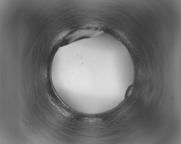 X0000080660539200701050945