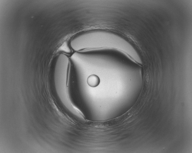 X0000080660540200701050945