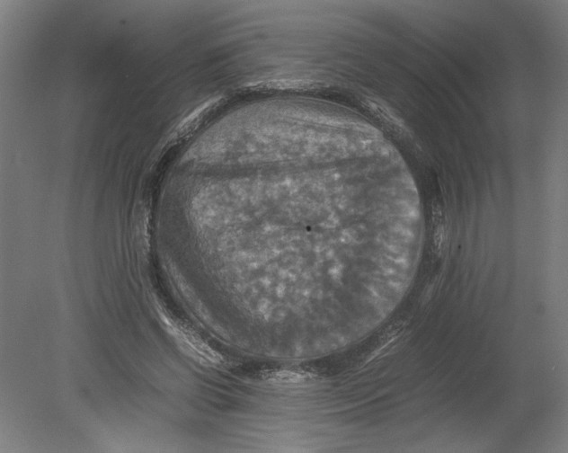 X0000080660542200701050945