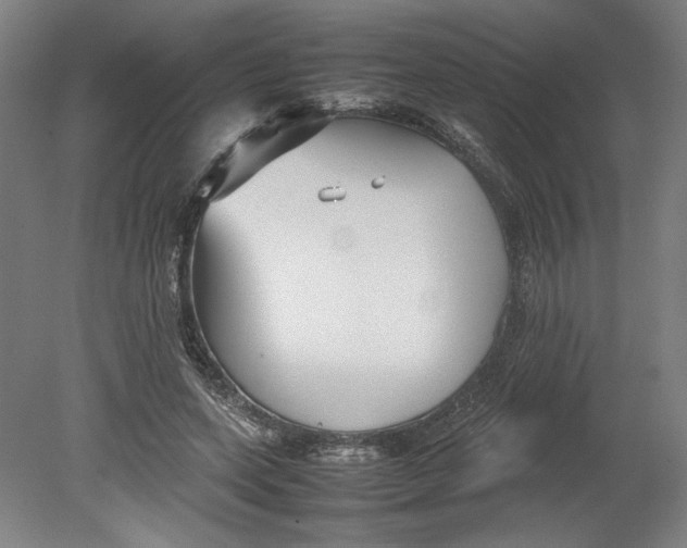 X0000080660543200701050945