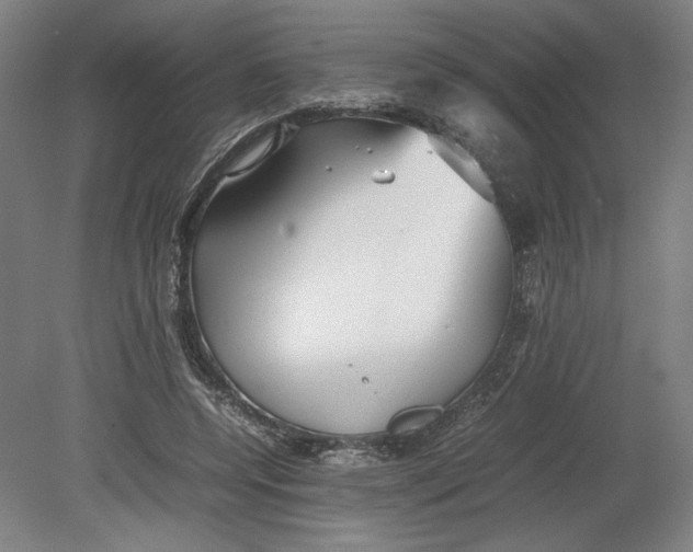 X0000080660544200701050945