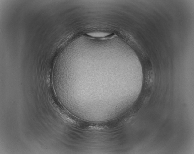 X0000080660545200701050945