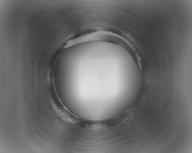 X0000080660546200701050945