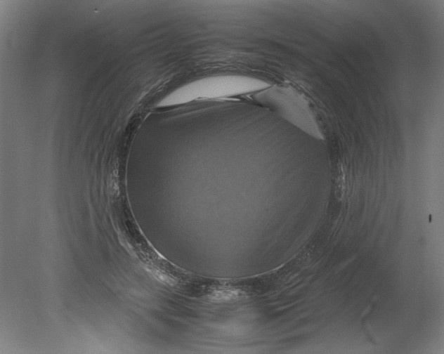 X0000080660547200701050945