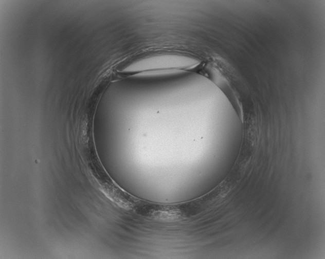 X0000080660548200701050945