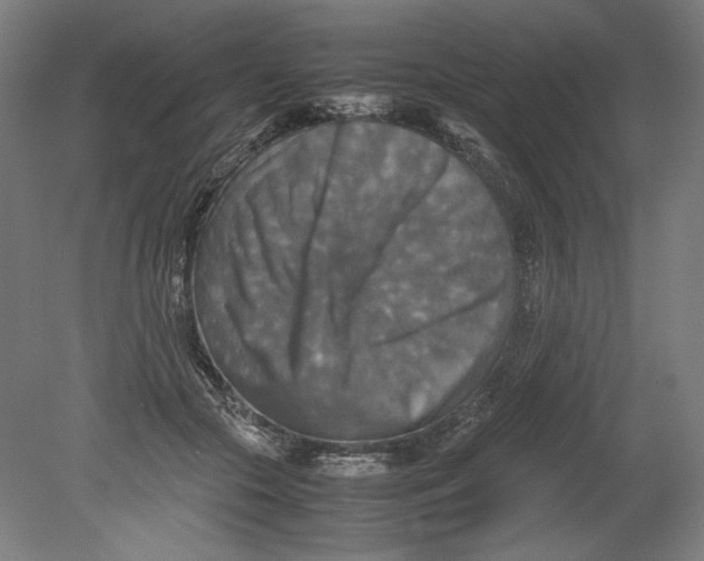 X0000080660553200701050945