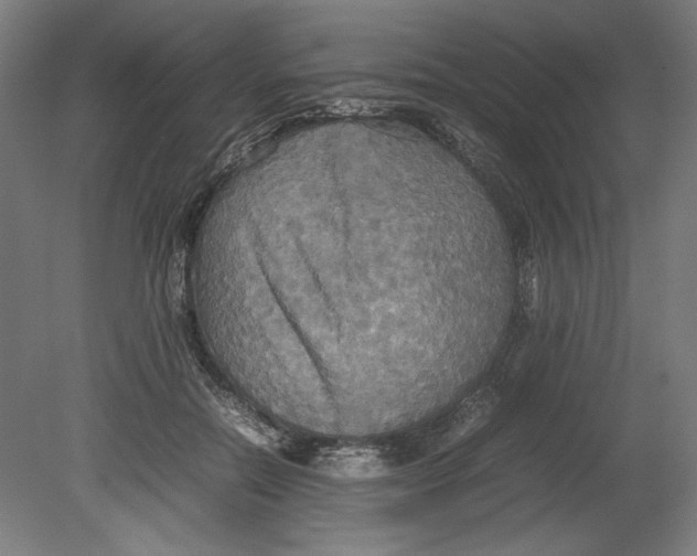 X0000080660554200701050945