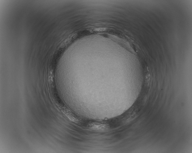 X0000080660555200701050945