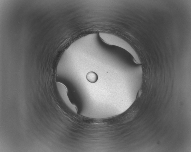 X0000080660556200701050945