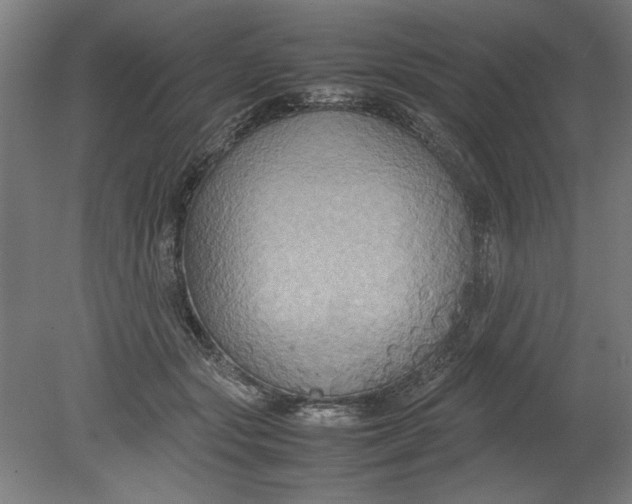 X0000080660557200701050945