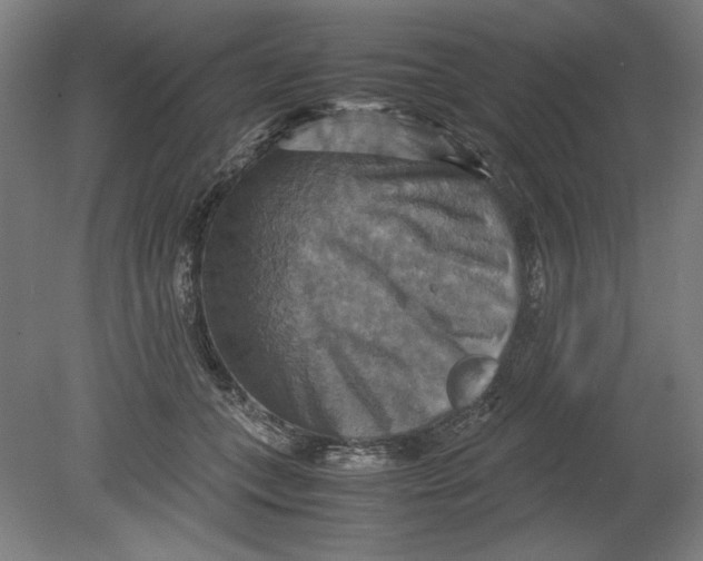 X0000080660559200701050945