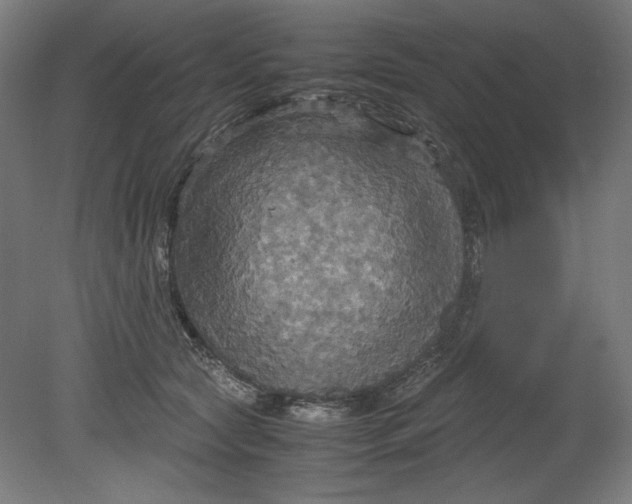 X0000080660561200701050945