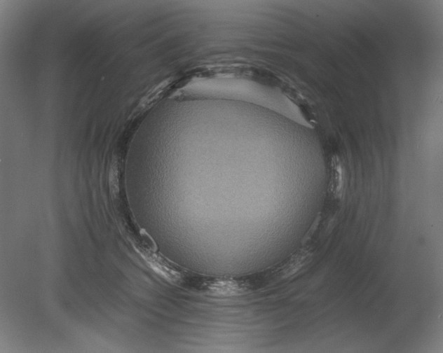 X0000080660562200701050945