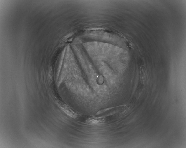 X0000080660563200701050945