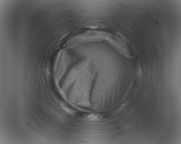 X0000080660566200701050946