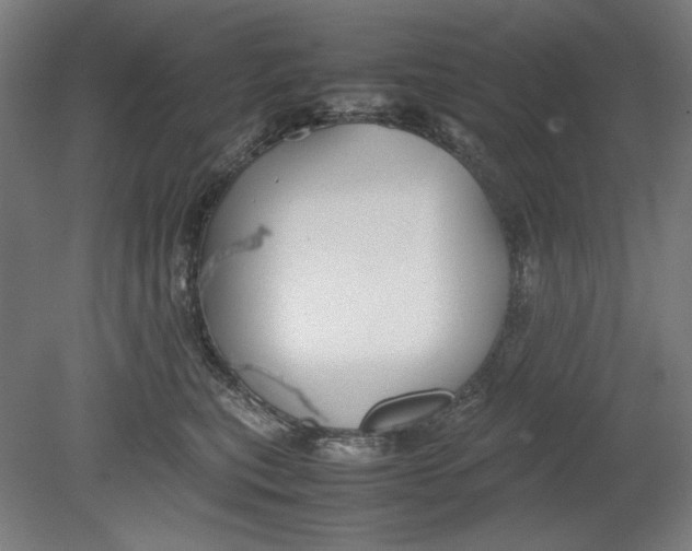 X0000080660567200701050946