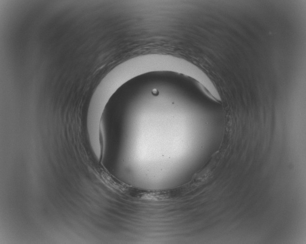 X0000080660568200701050946