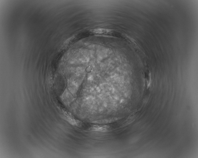 X0000080660569200701050946