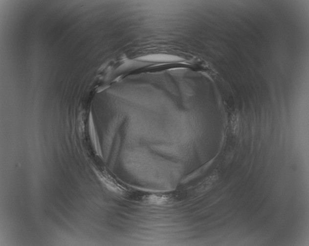 X0000080660570200701050946