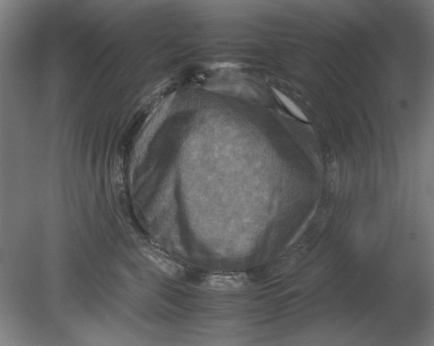 X0000080660571200701050946