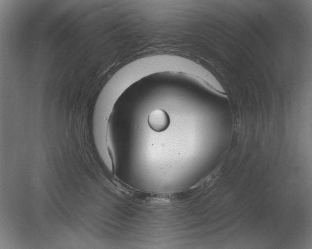 X0000080660572200701050946