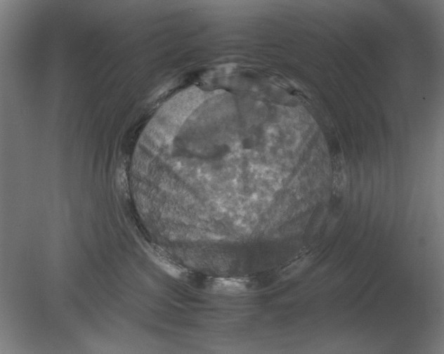 X0000080660573200701050946