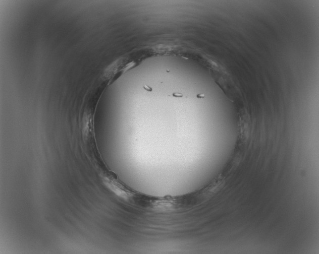 X0000080660574200701050946